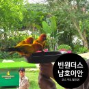 유아, 어린이 체험전기 <아이, 마이, 미, 마인> | 빈원더스 남호이안 지도, 추천코스, 입장권 할인 예약 (+폰분실후기)