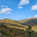 의신사천마을 이미지