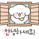 뉴월드부동산공인중개사사무소 이미지