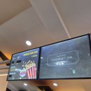 제주아트 서커스 | 제주 서귀포 아이와 가볼만한곳｜환상적인 제주아트서커스 관람후기