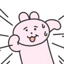 아토즈캠핑마리오