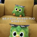 듀오링고 생일카페 홍대 해피벌스데이 방문 후기 웨이팅