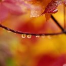 미즈산부인과의원 이미지