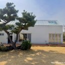 제주서채 이미지