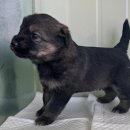 외답6길 이미지