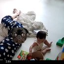 담아봄풀빌라