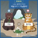 인간이라는 동물에서 진정한 만물의 영장으로 환골탈태했던 옛사람의 방법 이미지