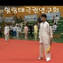 2013년 제4회 국제건강태극권 및 전통무술대회 양식태극도13식 개인전 이미지