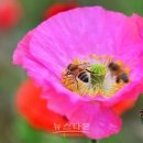 좋은생각 이미지