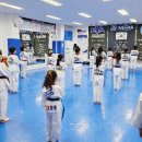 청용태권도장 | [용이동청용태권도]24년도 1월 정기승급심사