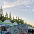 울산 쇠부리 축제 첫날 후기 : 2026 북구청 광장 공연, 전시, 불꽃쇼까지!!!