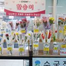 이슬향기플라워