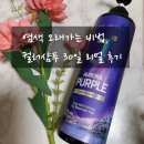 (주)제이숲 | 염색 오래가는 비법, 제이숲 컬러샴푸 퍼플 30일 리얼 후기 +내돈내산