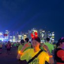 2025 댕댕나이트런 | 2025 나이트레이스 부산 : 광안리 나이트런 참가 후기