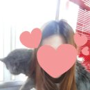 쿤모바일 이미지