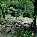소백산자락길 제7코스 뉴시스