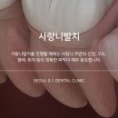 강남사랑니치과의원 이미지