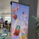일본 5월 스타벅스 한정메뉴☕️ 소다 스트로베리, 소다 유자 시트러스 후기