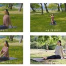 세계국선도연맹 | 2023년 1월 국선도 부산서면 명상원 온라인 / 오프라인 무료 공개 강좌 안내