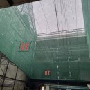 소야돼지야 이미지