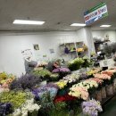 대가야꽃집 이미지