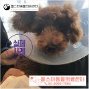 올스타동물의료센터 이미지