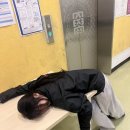 인생;꽃같네 이미지