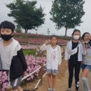 대산체육공원 이미지