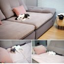 다미안아파트 이미지