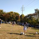 와와멍# 이미지