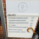 강릉제일솔라 1호 | 강릉여행 맛집 코스 (엄지네, 물회,순두부젤라또)