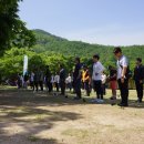 용인자연휴양림 이미지