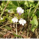 논두렁밭두렁 이미지