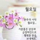 태화만사성 &#34;경산라이브공연&#34; &amp;뉴스 이미지