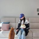 케이크얌(CAKE YAM)