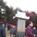 선영 이미지