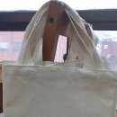 부부 우리 태권도장 이미지