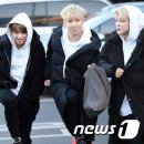 슈가몬스터 이미지