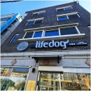 라이프독 강릉점 24시 강아지분양 고양이분양 | 수의사의 건강검진과 함께하는라이프독 강릉점 24시 강아지 고양이 강릉애견분양 핫플이에요