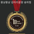 몽냥몽냥 강아지분양 고양이분양 송파점 이미지