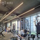 댓츠피티 이미지