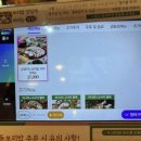 다정삽겹 네이버블로그