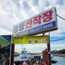 배 10분 타고 떠난 섬 여행, 진해 소쿠리섬 현실 후기