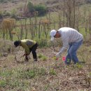 파평산농장 이미지