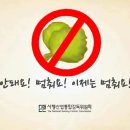피규어가게 이미지