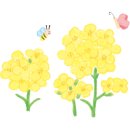 헤이리하담가죽공예 네이버블로그