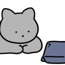 엠와이에프씨