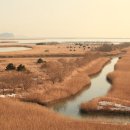 비타민D가 부족(不足)할 때 몸이 보내는 신호(信號). 이미지