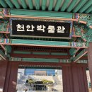 학익어린이공원 삼거리2 | 천안박물관 어린이박물관 | 예약, 관람시간, 주차, 무료입장 총정리