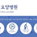 애나동물병원 이미지